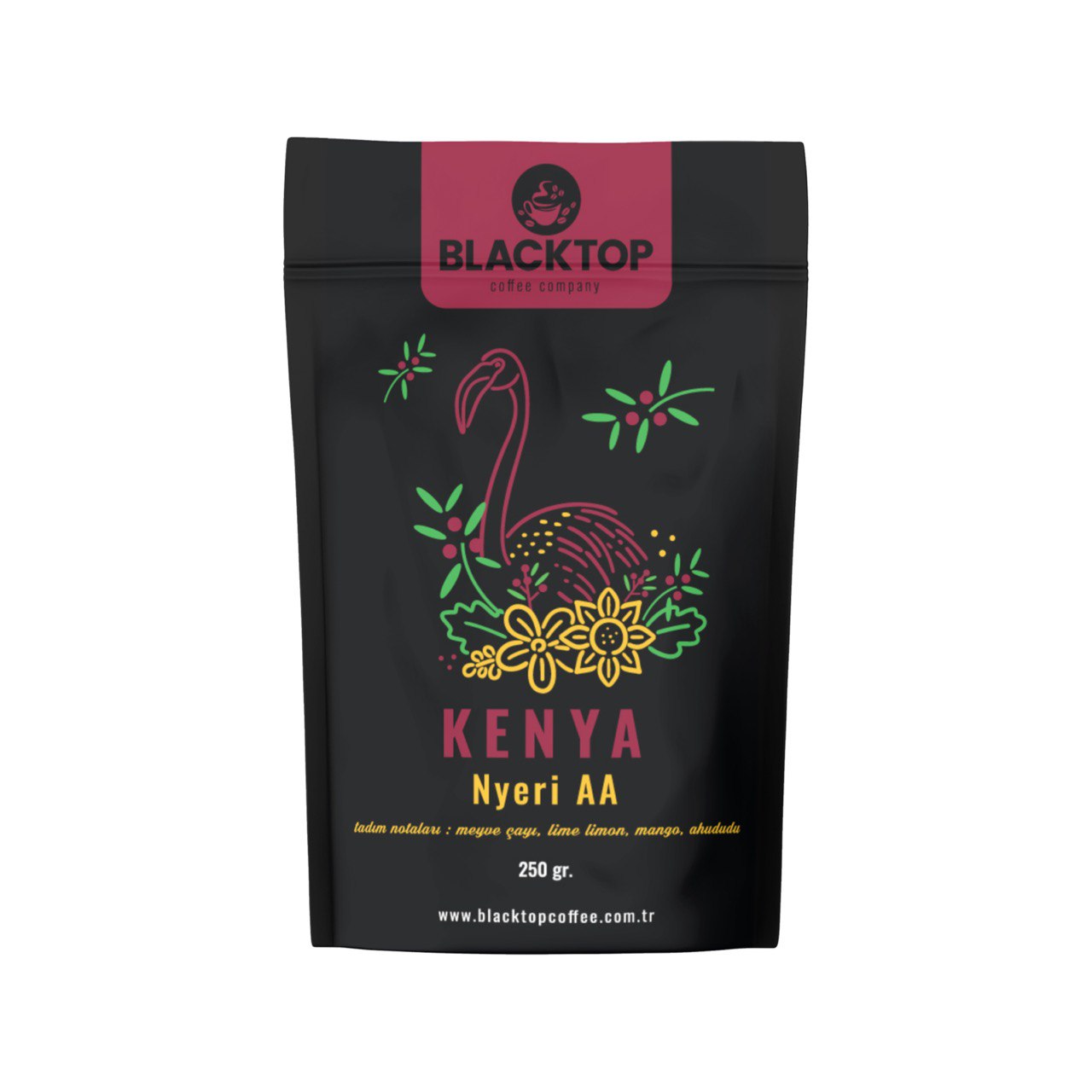 Kenya Nyeri AA